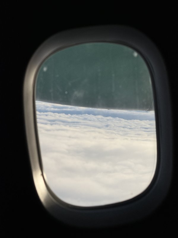 IMG-9624.jpg