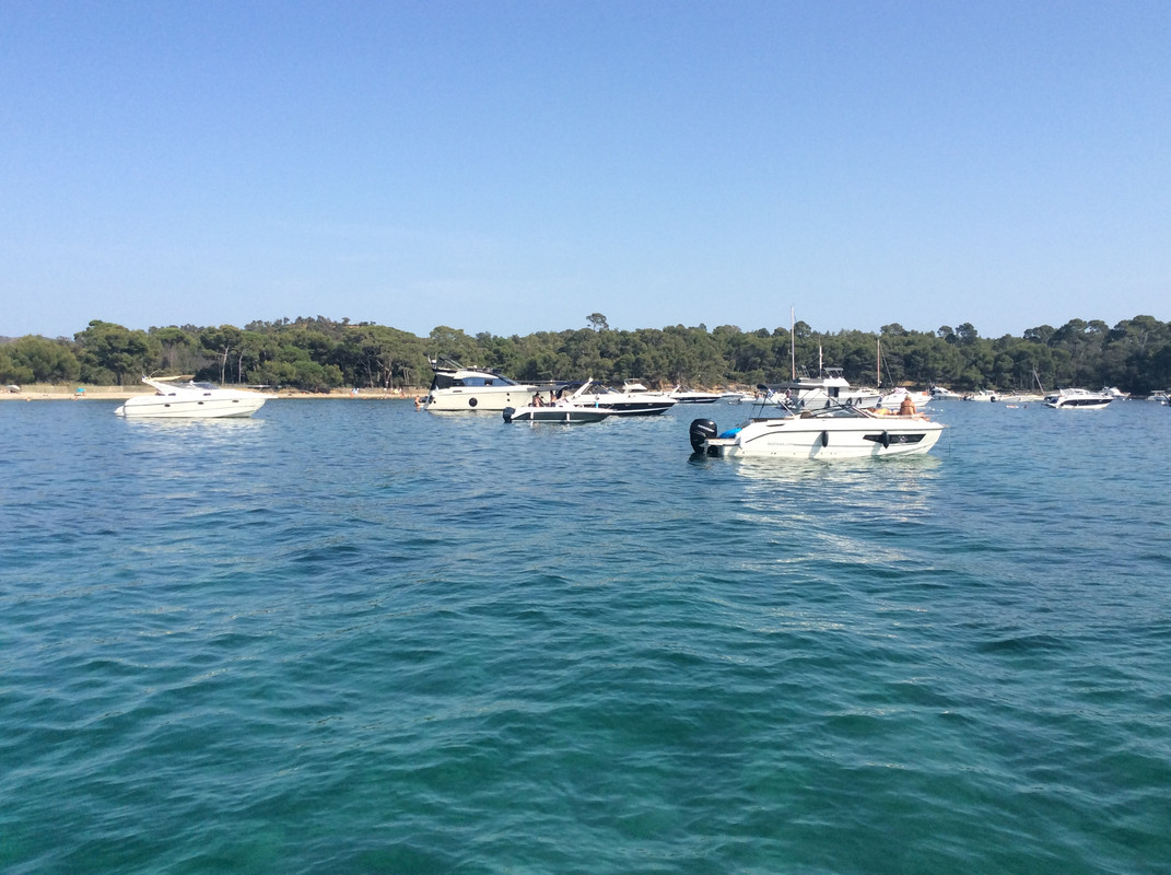 ACD81413-51A5-4BE3-BF4D-D308F6224E5D