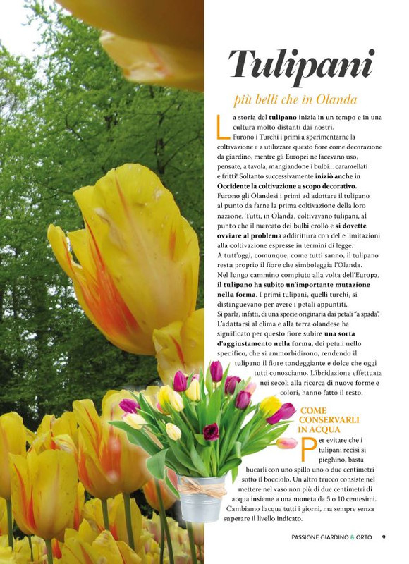 Pass Giar e Orto Apr 2026 (2)