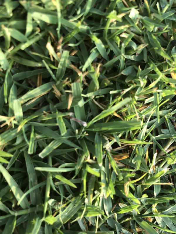 3927EA1F-3300-44EF-B521-058BD3FB4C61