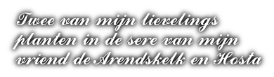 cooltext482490513780851