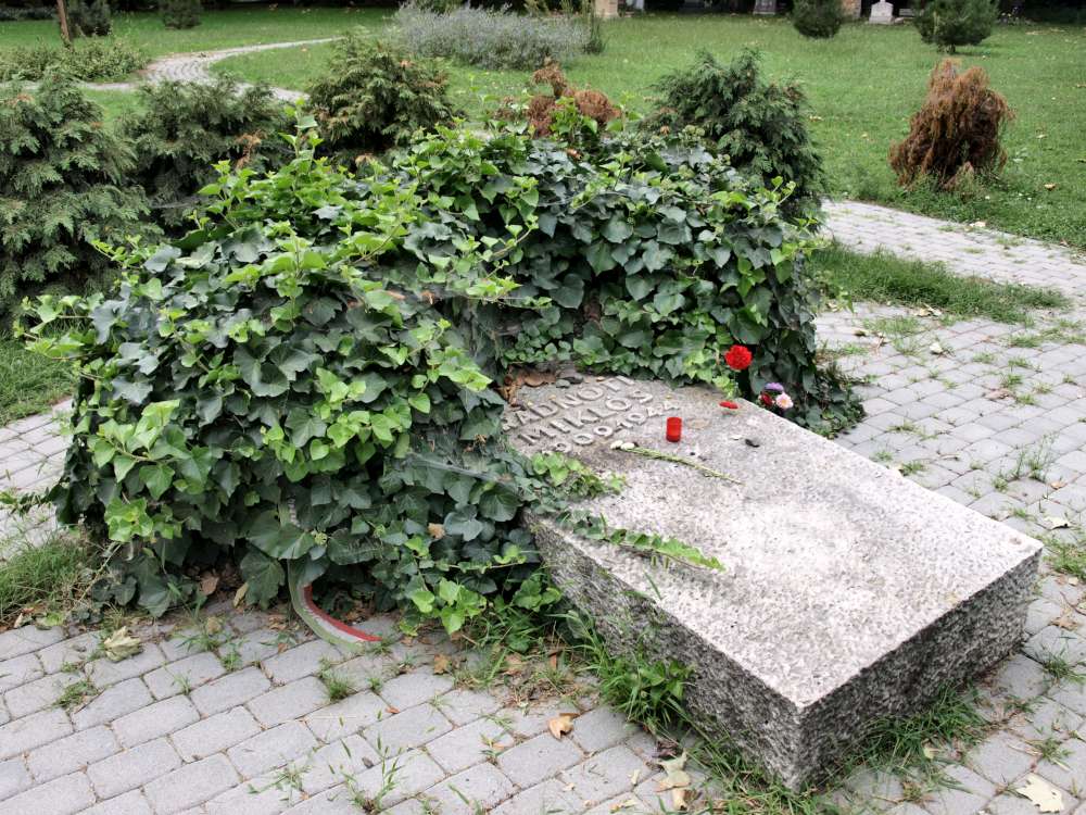 Grave-of-Miklos-Radnoti-P8270237-sza-1000