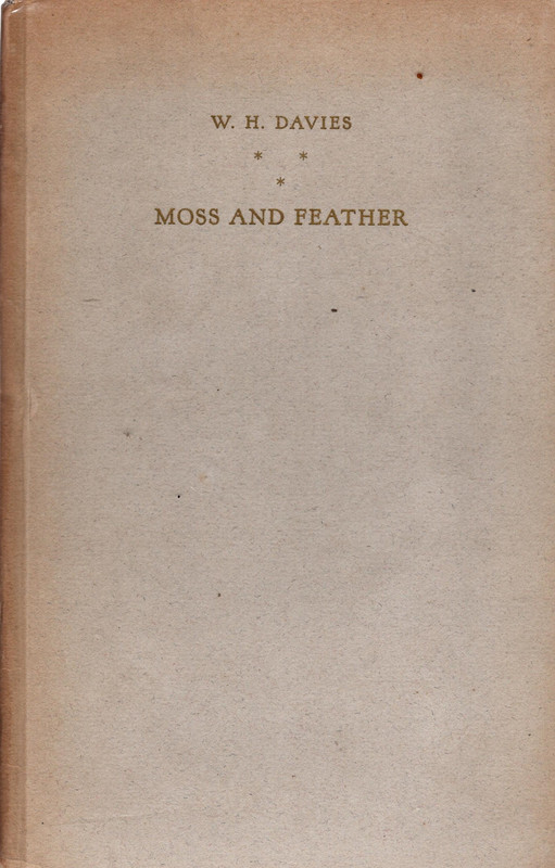 Moss and Feathers