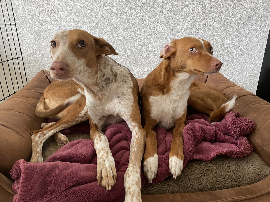 EFEE3B56-EB36-4CC4-9193-79258B899744