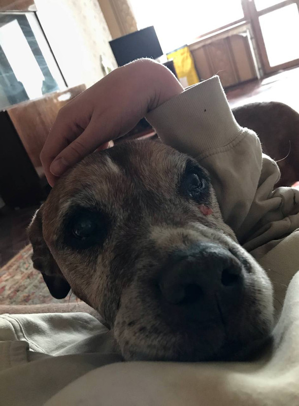 33395E66-97BC-4433-81D9-DAA2F2D06385