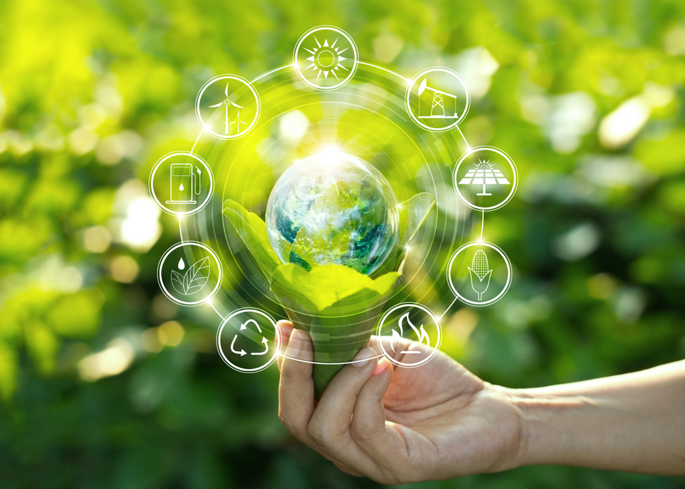 The Turn Towards Sustainability