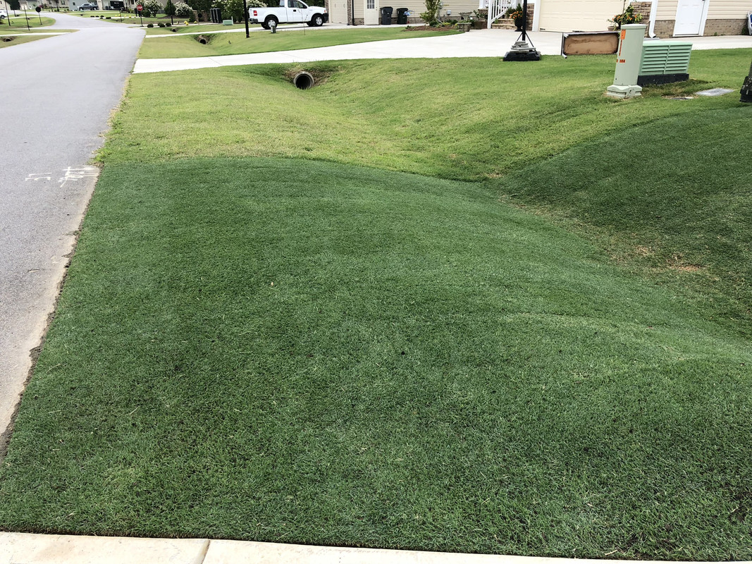 447190F7-51AE-4A25-9385-9B0CB50DB4BD