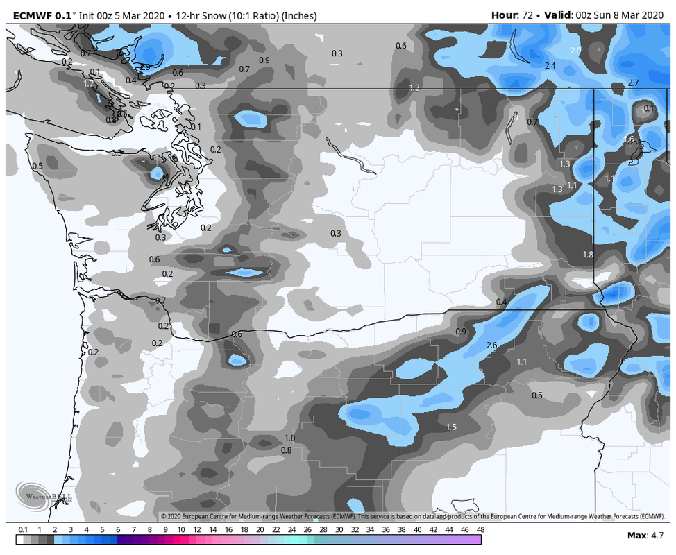 ecmwf-deterministic-washington-snow-12hr