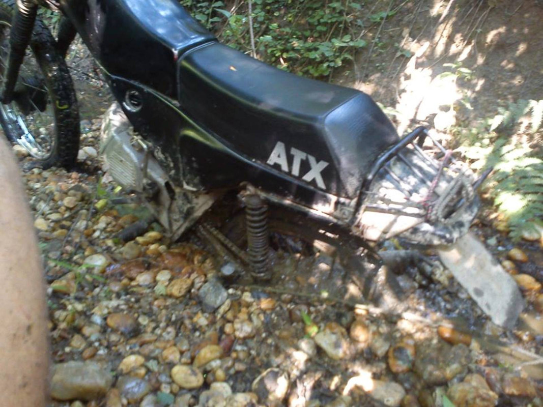 1005889_591634267536150_1386110976_n