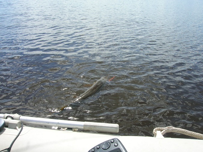 DSCN2778 — копия джиг