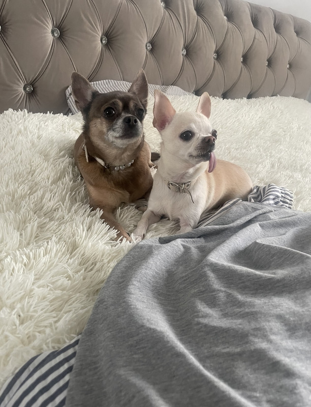 F212CC49-0C1B-45A6-BBCC-13CD7914DC28