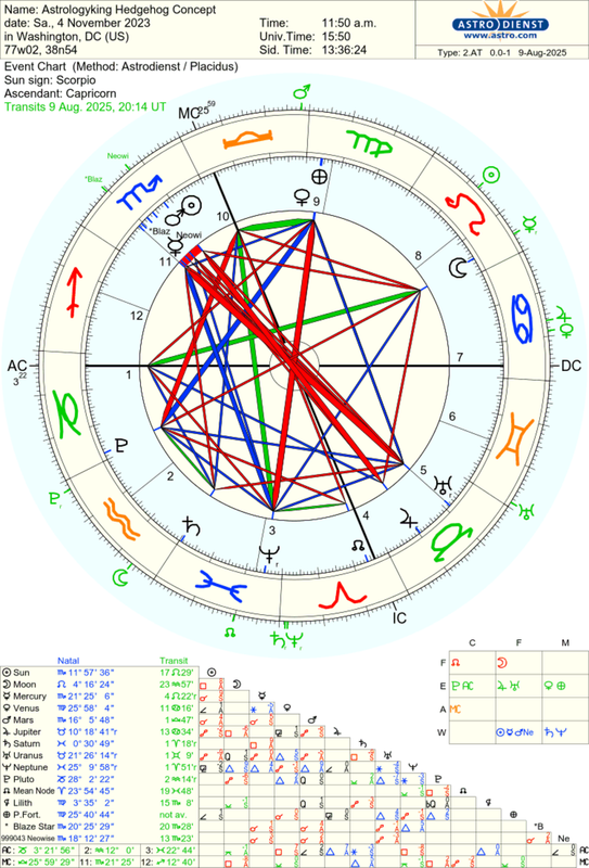 astro_2at_astrologyking_hedgehog_concept.72818.2892926