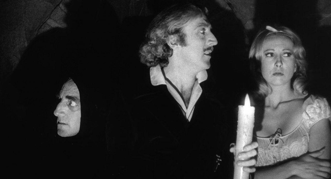 Young Frankenstein 1974 (1080p x265 10bit Tigole