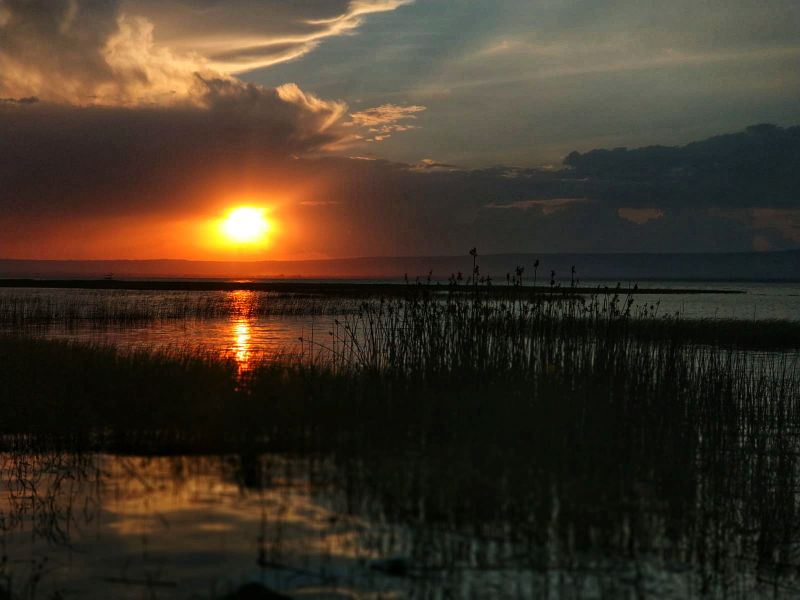 Etiopía. Tribus del sur, iglesias del norte y mucho mas - Blogs de Etiopia - Día 8 (13 octubre, sábado, 2018): Konso – Awassa (2)