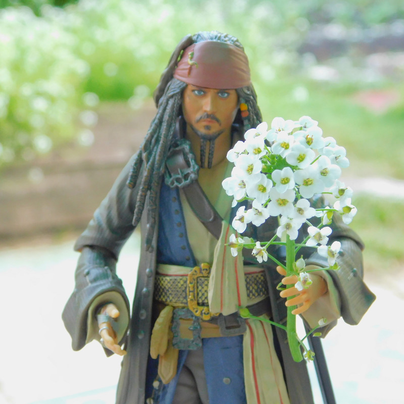 Дачно-Харлинский июнь-июль 2024 423