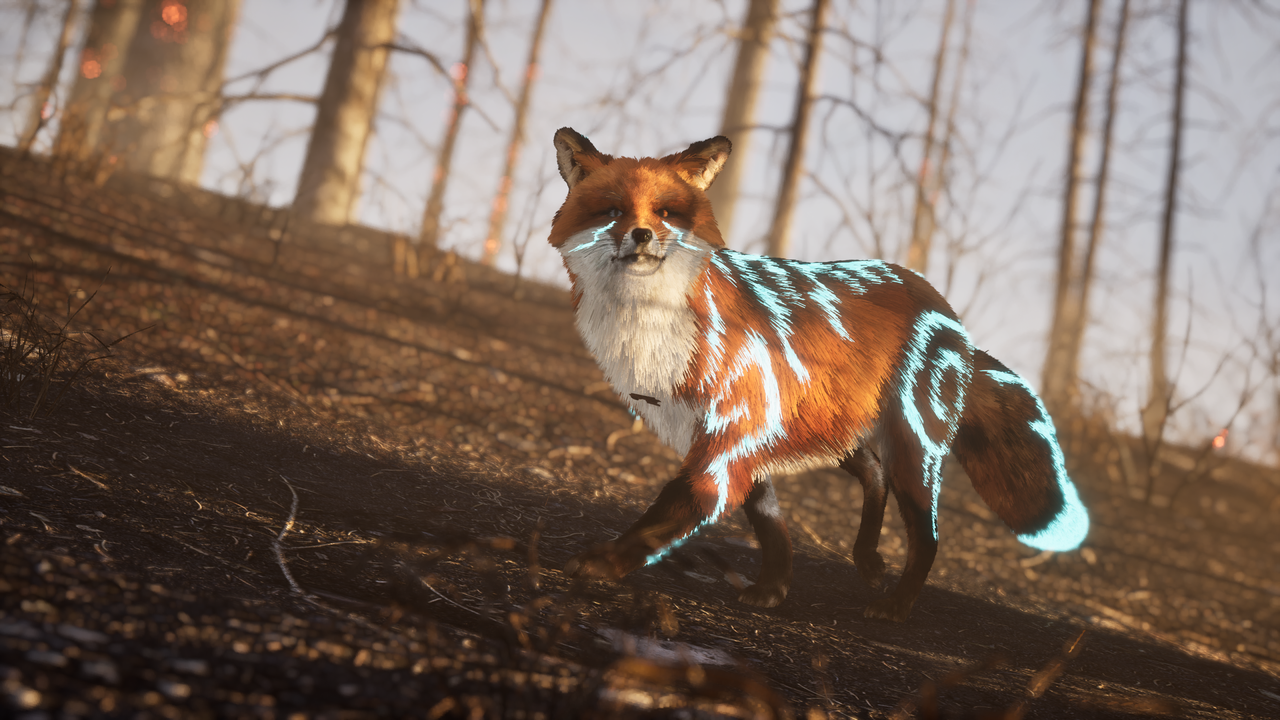 Spirit of the North 2 20260130110334