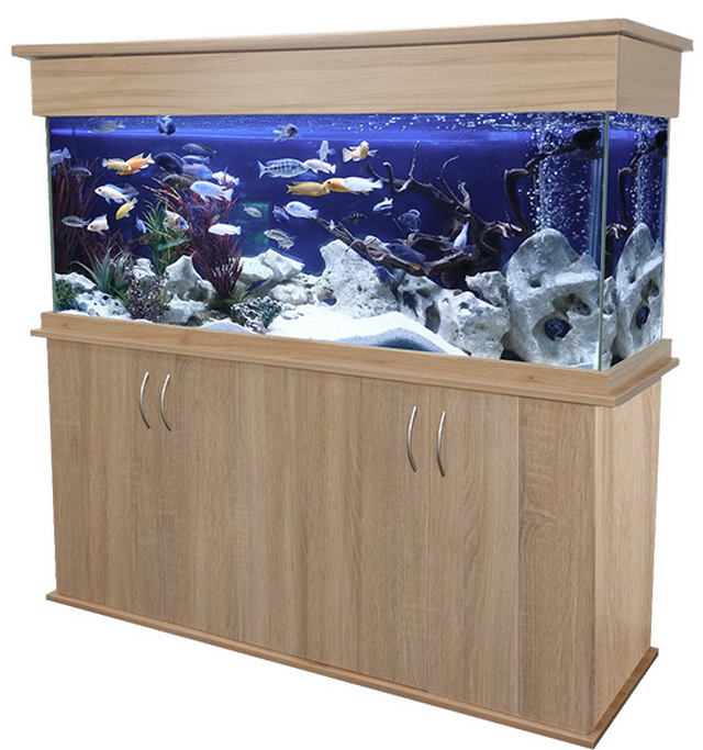 Maidenhead aquatics hotsell oak fish tank