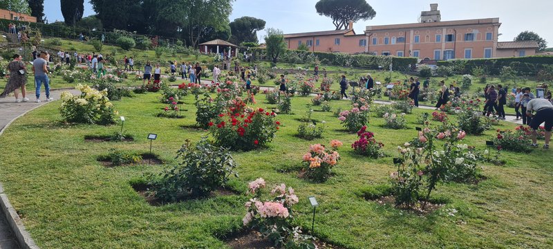 CRIATURAS MISTERIOSAS EN EL CENTRO DE ROMA - Roma: non basta una vita (13)