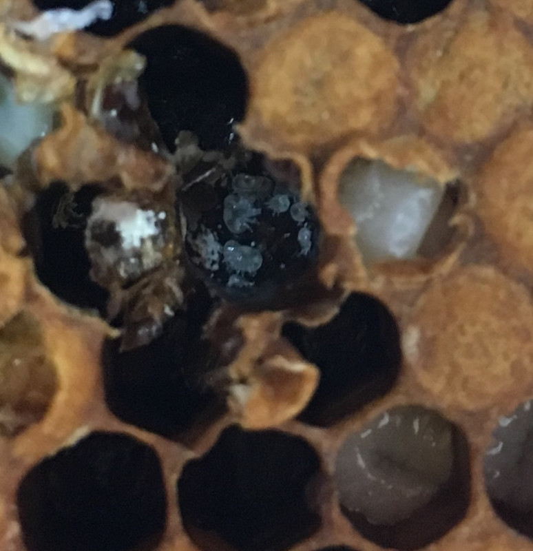 623B75F0-3B05-4694-9D8C-0F306367CE05