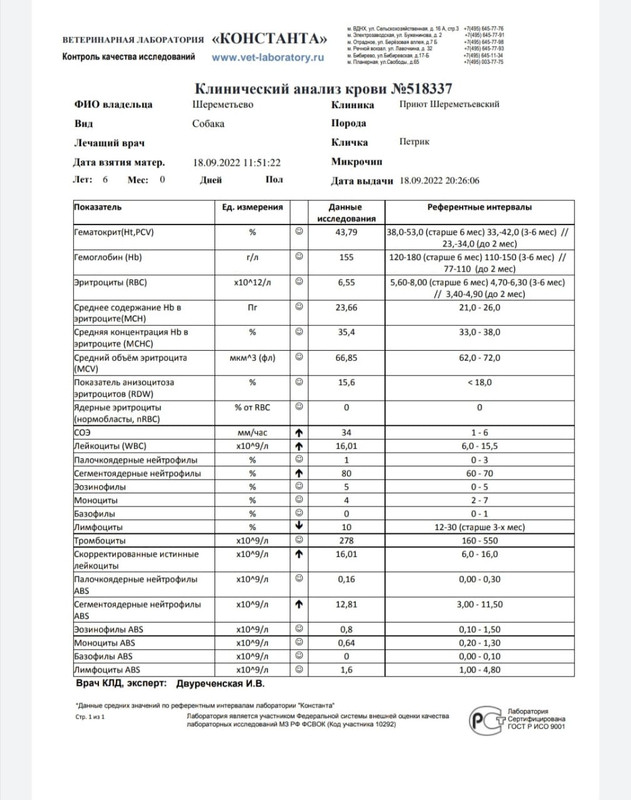 9DE85E32-93FF-4C6E-9E24-04BA2E693592