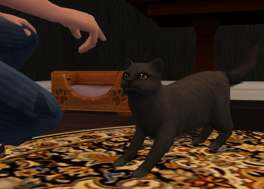 Sims2-EP9-RPC-2021-11-16-22-39-09-11