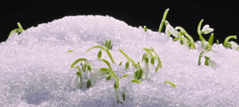 GIF-20260407-194944-766.gif