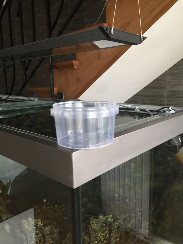 1FD48BB7-19E7-4003-859B-A385E3DF4255