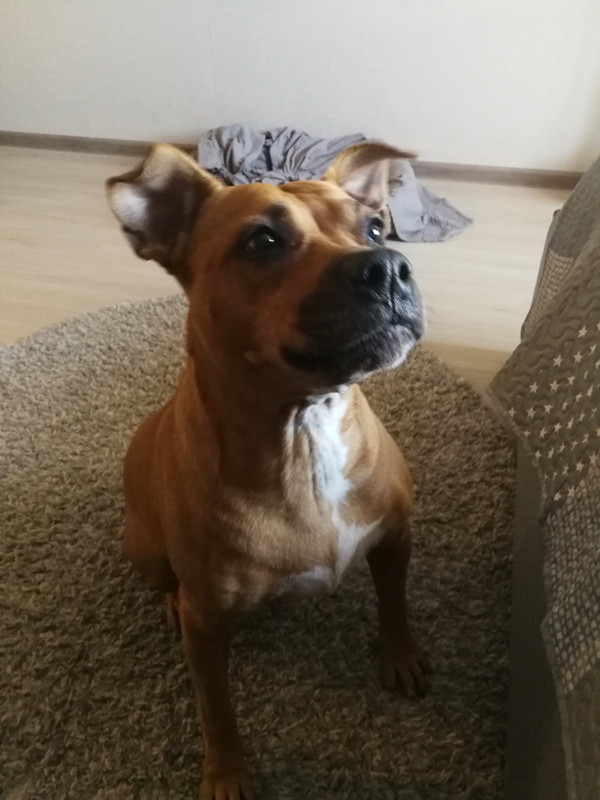 D6BD1E96-A3AC-4ABA-9BFC-E3D31A583B2E