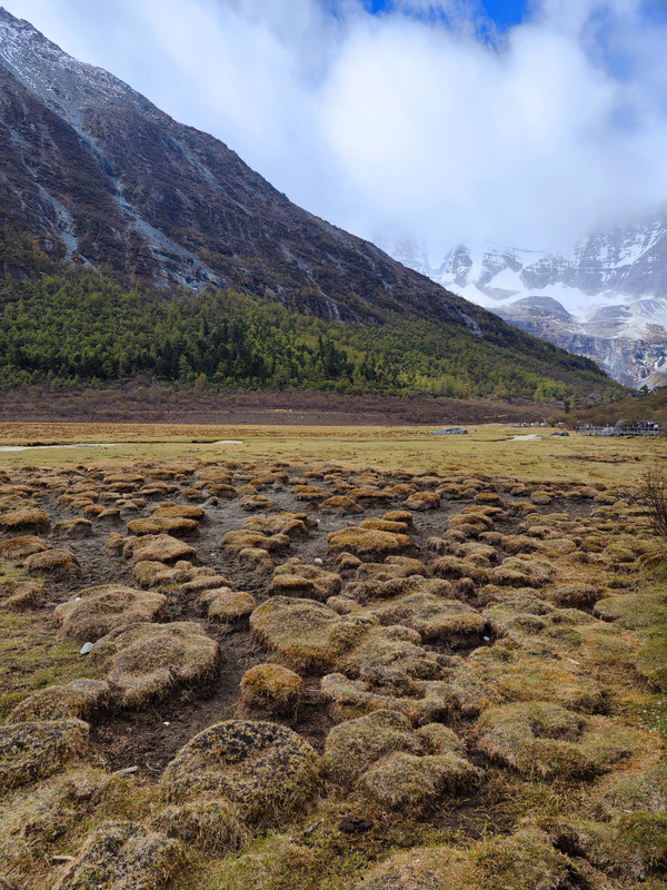 IMG_20230520_102113_副本