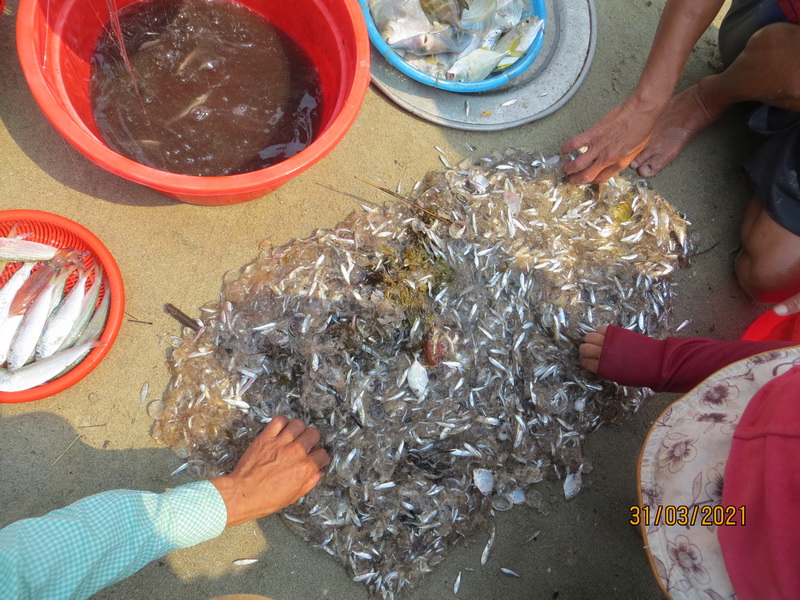 [Image: IMG-8320-resize.jpg]