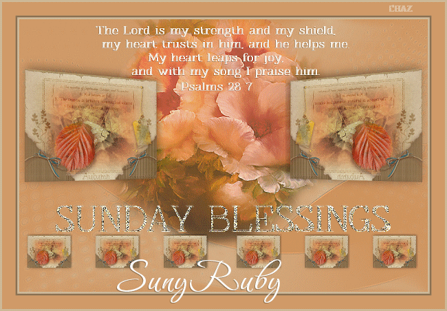 Suny-Ruby-Sunday-Blessings-Lord-Is-My-Strength-Shield