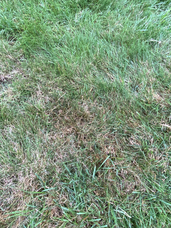 AACAE8FB-B4E8-4476-87C1-D7604E38FD84