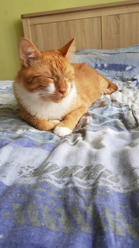 7AB91C9E-4E20-425C-9C8F-F481A968E7E3