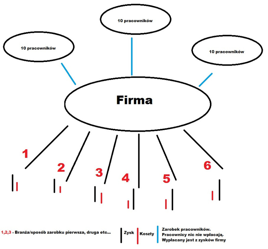 schemat zwykłej firmy