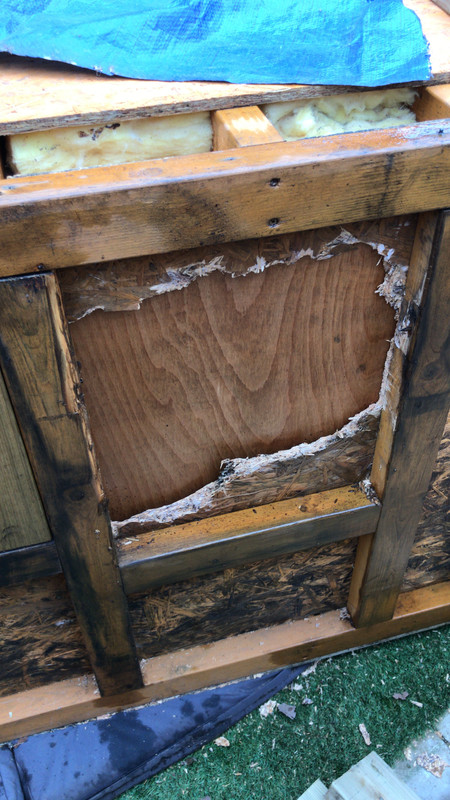 5BCBC53D-A455-425C-8E93-EFD4942AE0EC