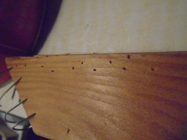 Wire Sewn Frame - Cavas Cam 1