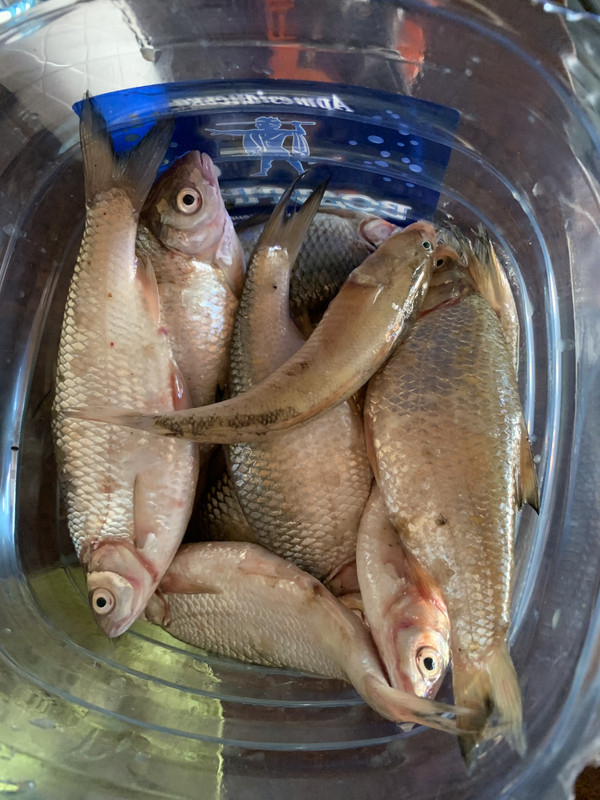 D6160A94-EAA4-4BA5-A25F-63A5CACB1860