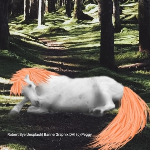 optimized-r1wb.jpg