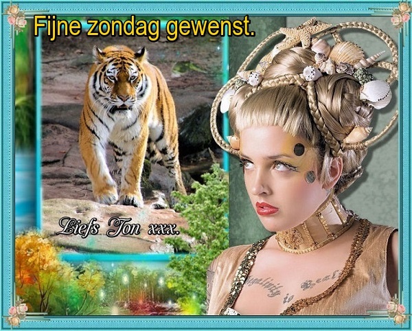 www.krabbelplaatjes.com