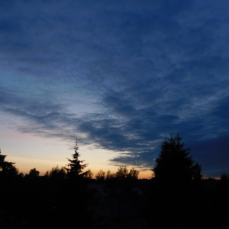 Дачное июль 203 и барби 002