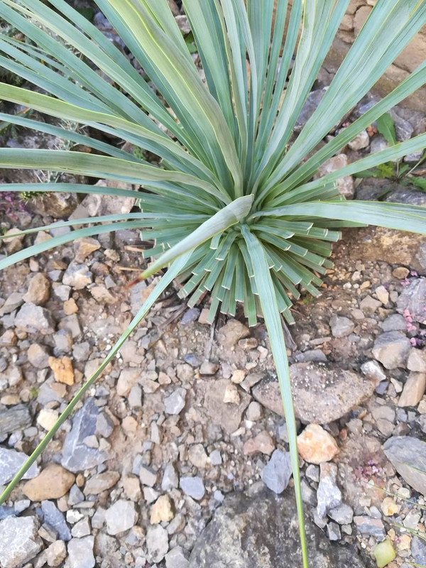 41872898_728494420836518_572873183300943872_n