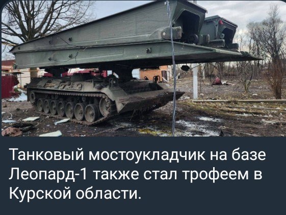 photo 2026 06 07 05 48 58