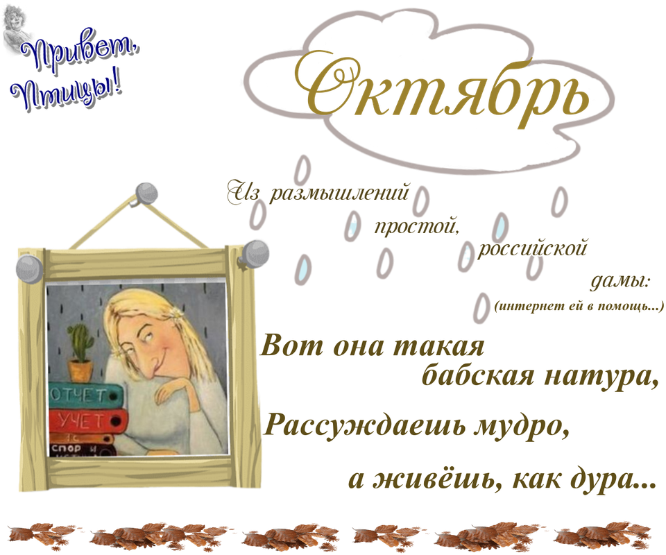 https://i.postimg.cc/BQ6HL1bZ/06-10.png