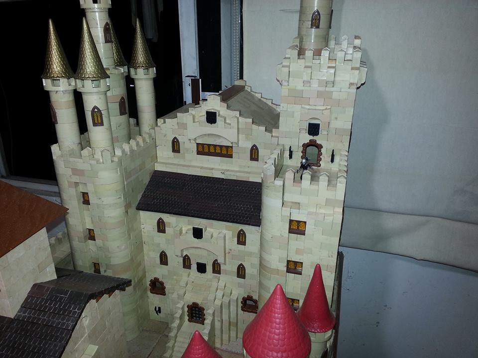 986607_786856261341735_632024668_n