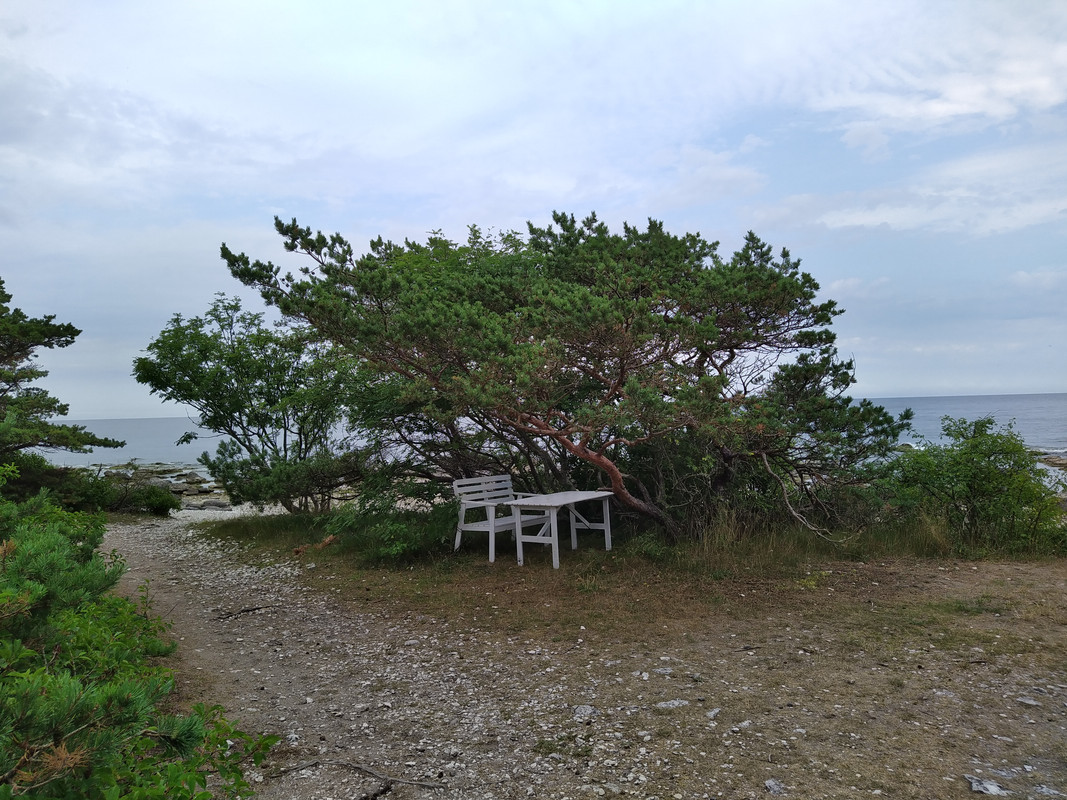 IMG_20210707_165643_1
