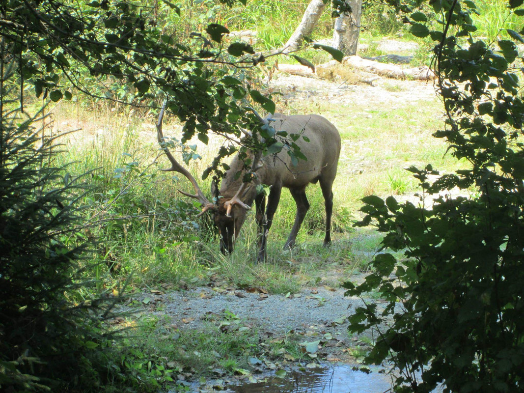 10649037_10204934158697737_967503921611630783_o