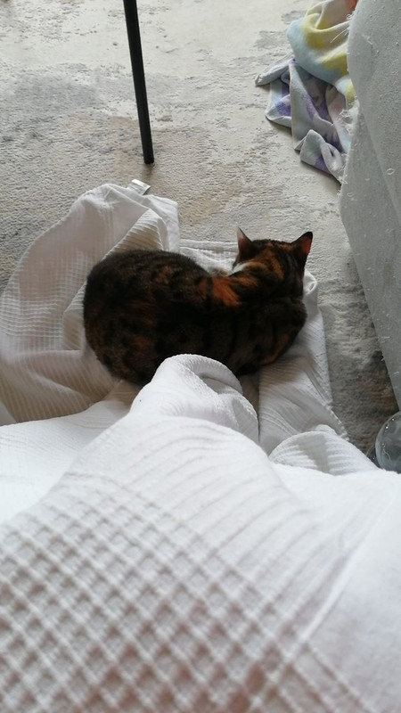 photo 2026 04 12 19 45 52