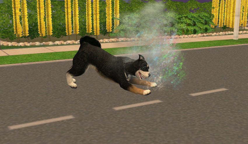 Sims2-EP9-2021-02-23-20-10-38-76