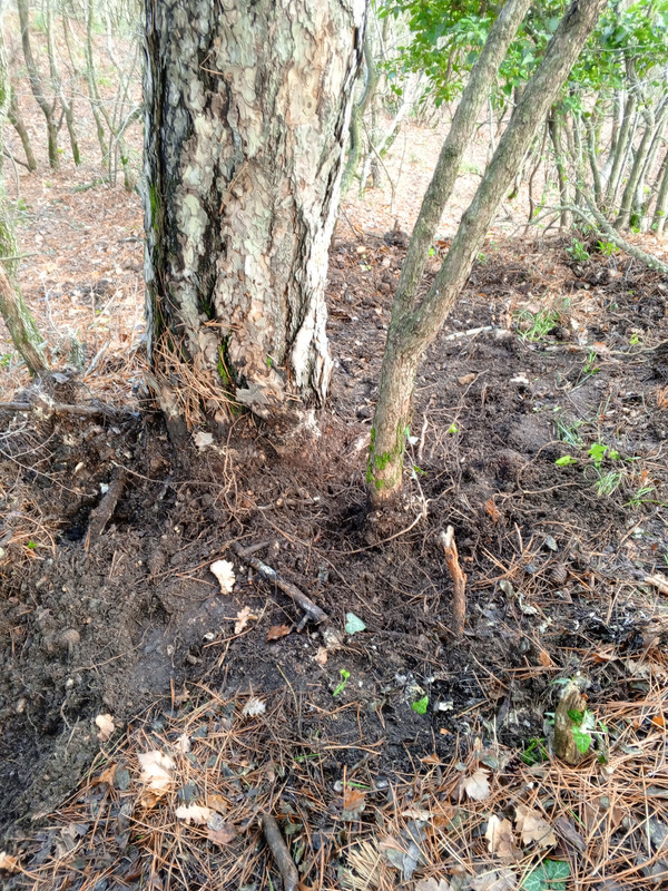 IMG 20260107 141207 468