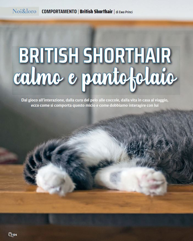 QuattroZampe Nov 2023 (11)